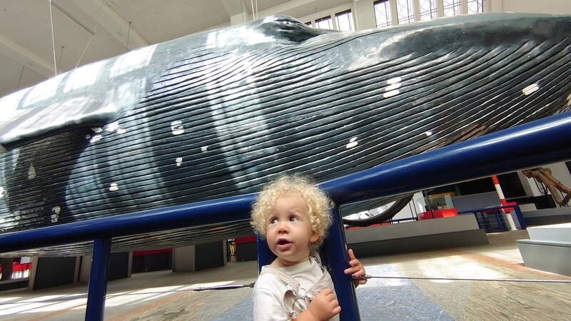 Louis and the whale