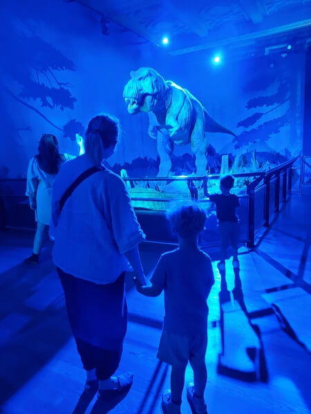 Marley looking at T-rex